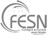 FESN Colégio e Cursos